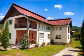 Отель Rustic Argesean  Корбени
